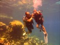 Laila Scuba Diving