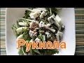 Вкусные и простые рецепты Салат с рукколой RusLanaSolo