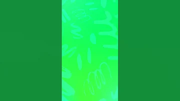 18 June 2025 