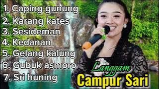 LANGGAM CAMPUR SARI PALING GAYENG CAPING GUNUNG,KARANG KATES,SESIDEMAN,KEDANAN