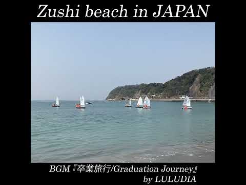 #shorts #ヨット #zushi #逗子 #beach #オリジナル曲 #originalsong #japan