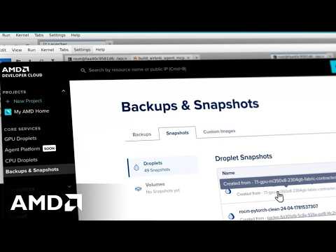 AMD Developer Cloud Feature: Snapshots