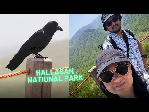 Hallasan National Park.  #제주도 #korea #travel