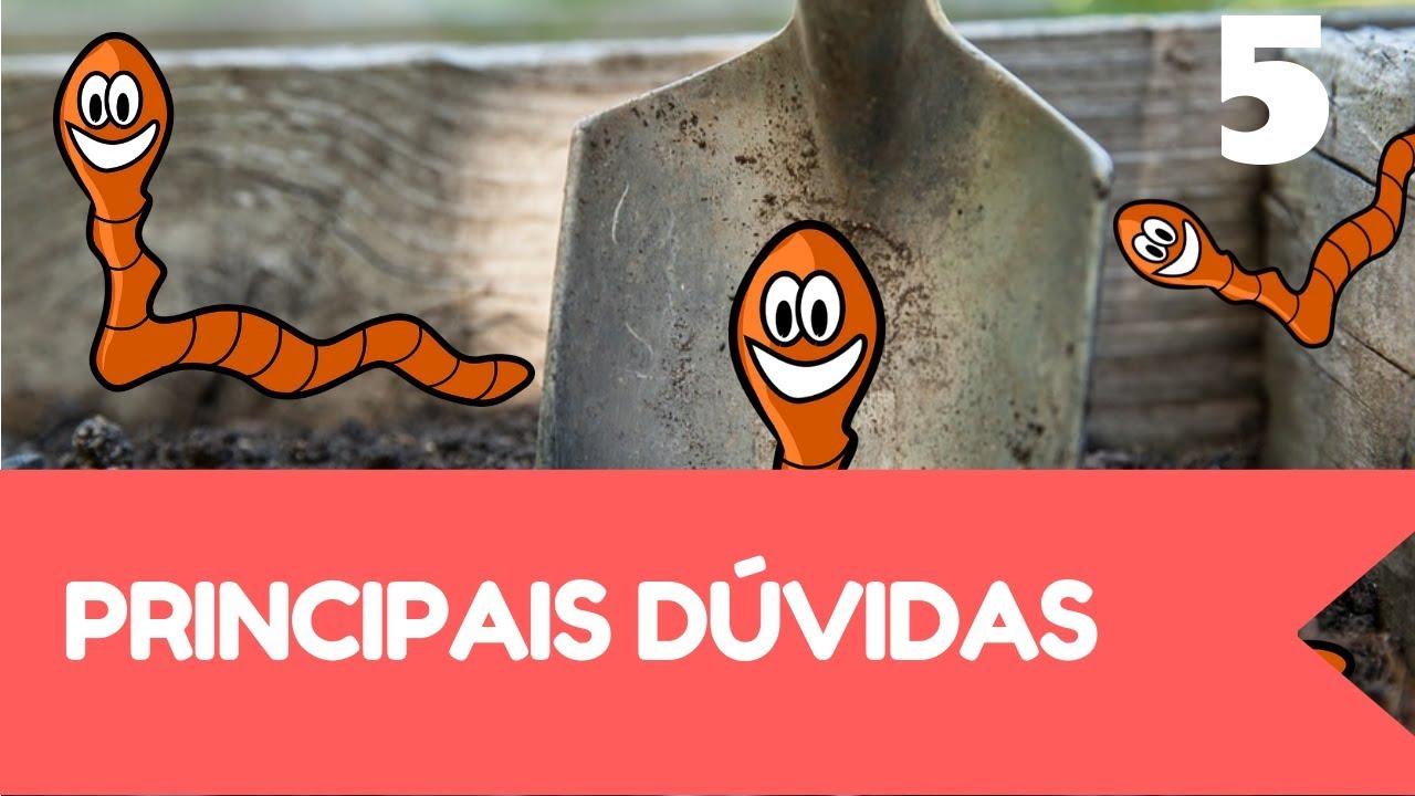 Tudo sobre minhocário 05 - Principais dúvidas