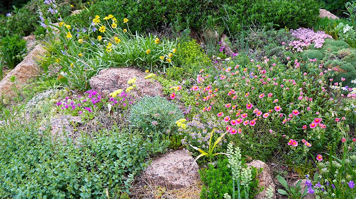 Colorado Garden Tour in May and June 2021 with Pan...