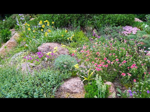 Colorado Garden Tour in May and June 2021 with Panayoti Kelaidis | Gardens Bringing Light