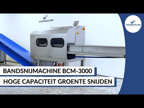 Op risico hardwerkend Schaken Industriële Groentesnijmachine BCM-3000 | Voor Uien, Kool, Prei, Sla etc.