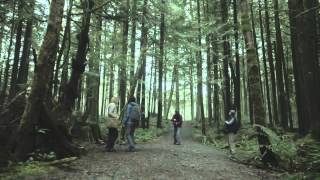 Grave Halloween 2014 - Pelicula De Terror