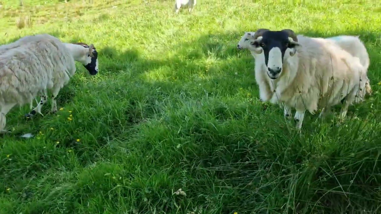 Kentmere - Beautiful Scenery | The Lake District