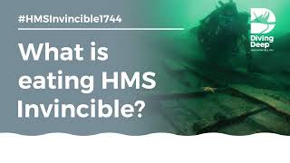 What is eating HMS Invincible?