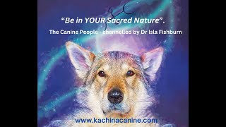 Be in your Sacred Nature - Channelled Message from The Canine People