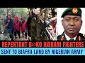 EXPOSED: “Repentant Boko Haram” Fighters Sent to Biafra Land by Nigerian Army?