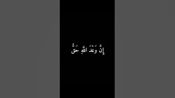 القرآن الكريم شاشة سوداء | سورة لقمان | القارئ أحمد خضر