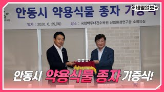 국립백두대간수목원 약용식물원 영상