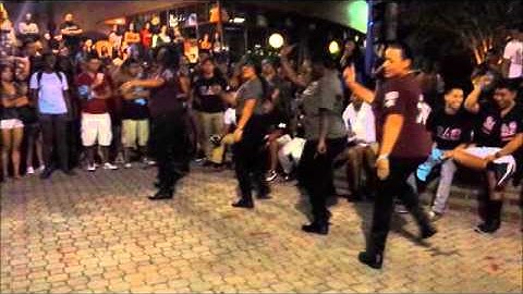 LTA Beta Theta at UCF Late Knights 2014