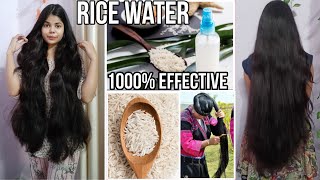 How To Make Fermented Rice Water For Hair|| How to Use Rice Water || Rice Water Benefits & Uses