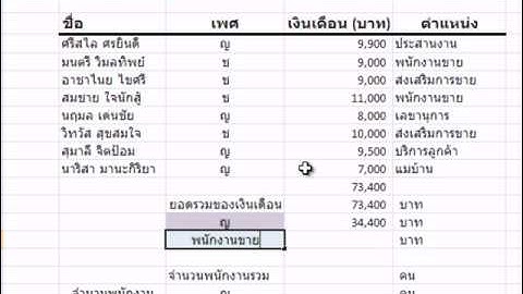 Excel 2007 SUM SUMIF COUNT COUNTIF Function