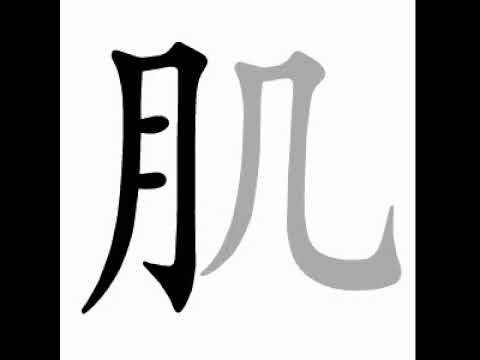 How To Write Chinese 肌丨chinese Stroke Order中文汉字笔顺动画 Youtube How To Write Chinese 肌丨chinese Stroke Order中文汉字笔顺动画 Youtube