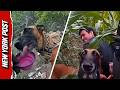 K-9 Officer 'Bona' Tracks Group of Illegal Migrants For Nearly 10 Miles in Texas