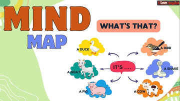 Mindmap - What