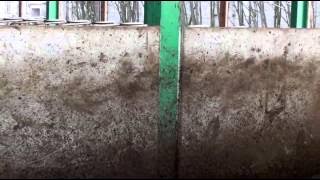 Pomezí - Farma pro dojnice