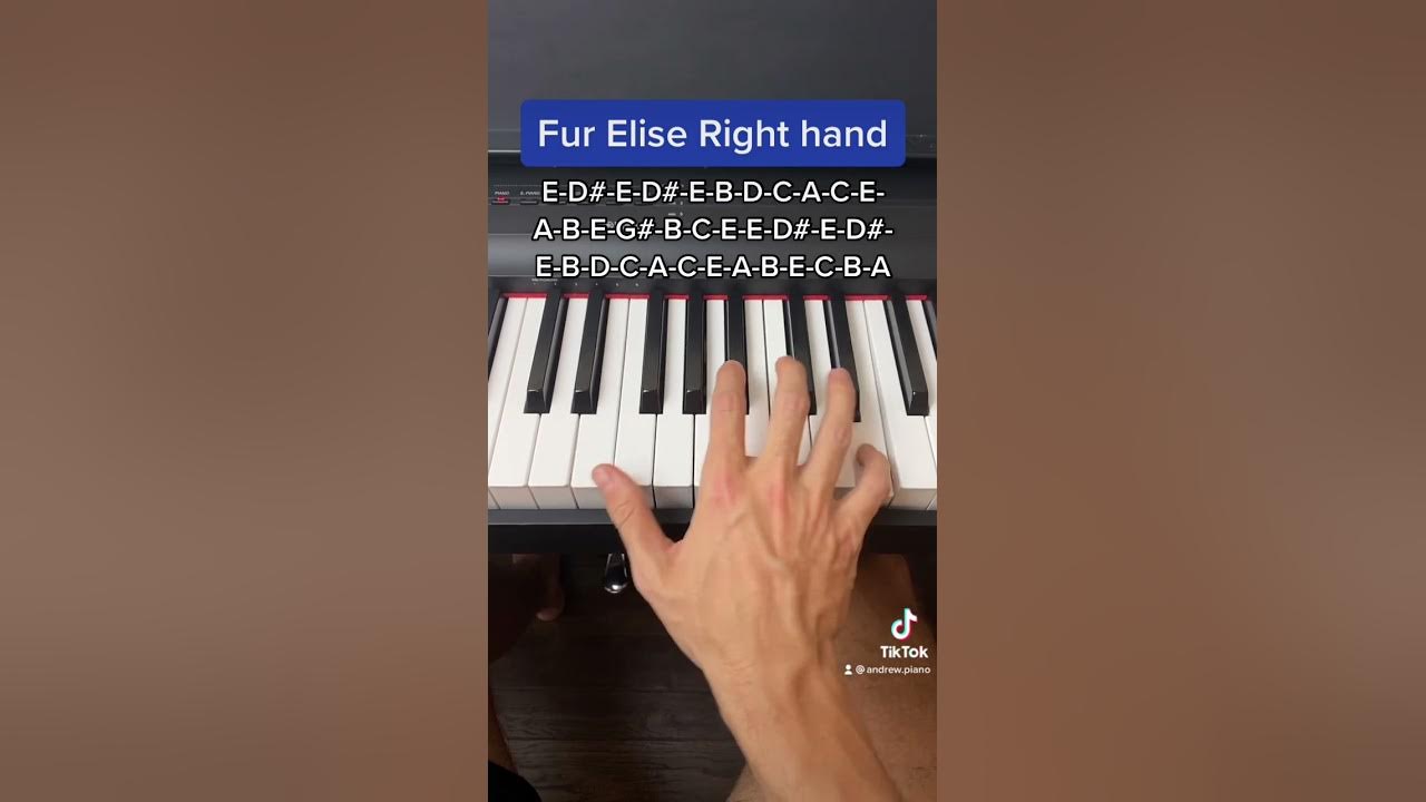 Fur Elise Right Hand easy piano tutorial with note names!