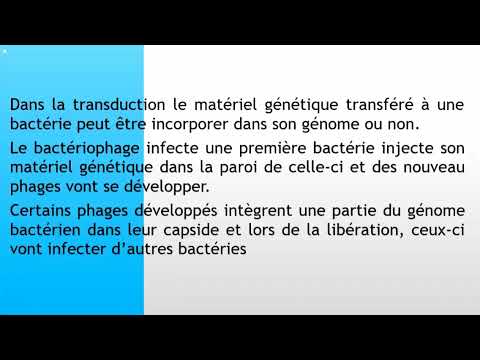 Vidéo: Humeur Au Microbe: Vers La Traduction Clinique