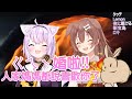 【猫又おかゆ x 戌神ころね】台南的全糖也沒這麼甜啦！貓狗貼貼ASMR白日雙重享受【中日字幕】