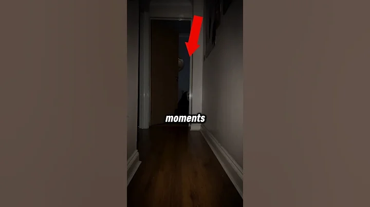 Youtuber Records His Last Moments Part 31