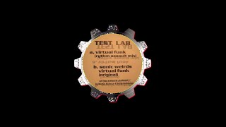 Test Lab (Andy Bolleshon, Martin Buttrich) - Virtual Funk [1996]