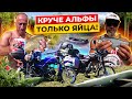 Едем на Альфах на Рыбалку! Альфа Regulmoto RM-3. Тест кофров.