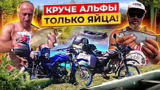 Едем на Альфах на Рыбалку! Альфа Regulmoto RM-3. Тест кофров.