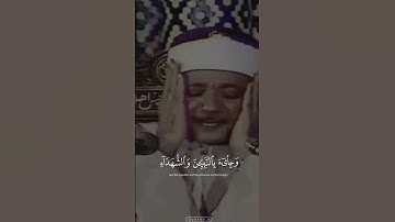 الحنجرة الذهبية | من سورة الزمر 📿 #عبدالباسط_عبدالصمد  #نوادر_التلاوات
