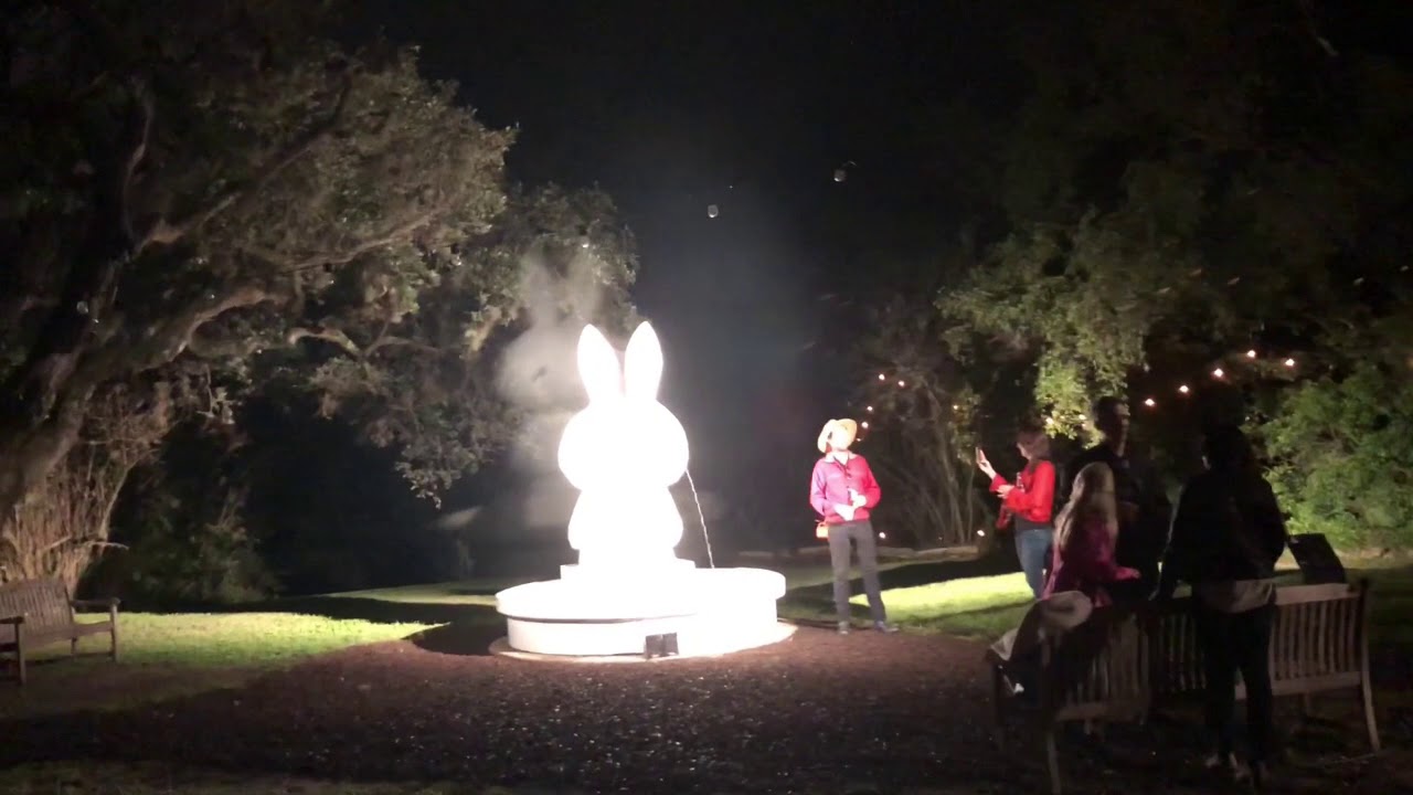 Camp Contemporary – The Contemporary Austin (Art Museum)