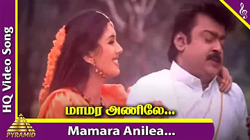 Mamara Anile Video Song | Dharma Chakkaram Tamil Movie Songs | Vijayakanth | Deepti Bharnagar | Deva