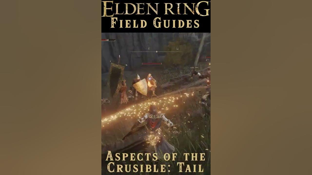 Aspects of the Crucible TAIL Full Guide, tips, and Where to Find Elden Ring Field Guides
