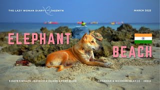 Elephant Beach 🌴 Havelock • Andaman &amp; Nicobar Islands 🇮🇳 How to Get There + What to Expect