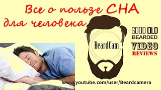 Все о пользе сна для человека Все о пользе сна для человека