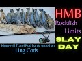 Half Moon Bay Rockfish Limits - Kingswell Battle Test - Lingcods