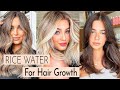 Does Rice Water Really Work For Hair Growth? How To Make It &amp; What Are The Benefits?