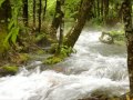 Beyond　the　century　with　beautiful nature of Japan