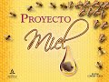 Proyecto Miel (día 6)