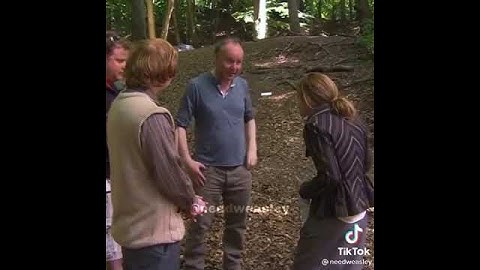 The kiss between Ron and Hermione #shorts