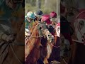 14 Grade 1 races you can't miss. 💥