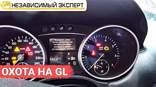 Охота на GL началась!