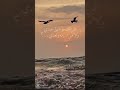 غنيه حاتم اشوفك وين يا مهاجر قلي باي بلد صاير
