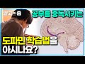 “공부를 좋아하게 만드는 방법” 우리 아이 공부 두뇌로 만드는 공부 호르몬! 공부를 중독시키는 도파민 학습법 │부모│알고e즘