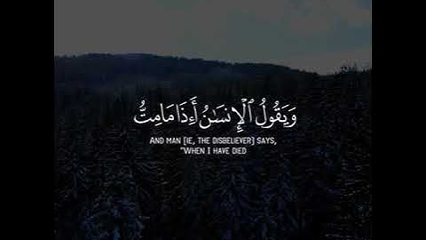 ماتيسر من سورة مريم - عبدالرحمن مسعد 🍂