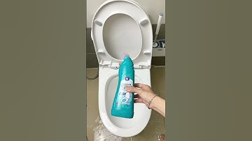 Mai Mách Nhỏ | Nước tẩy bồn cầu Logeski - Không cần chà, diệt khuẩn, khử mùi👇