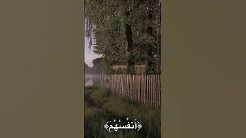 القارئ: محمد صديق المنشاوي سورة:التوبة [الأية]-[118] #اكسبلور #تيك_توك #fyp #fypシ゚viral #fypp #fy